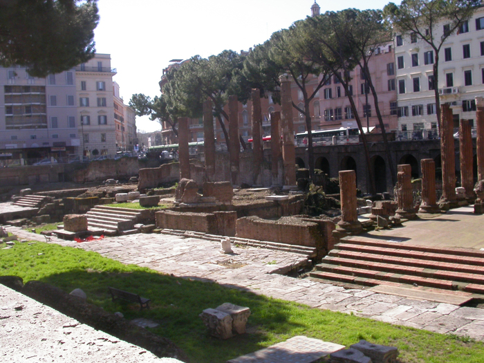 Largo Argentina, overview